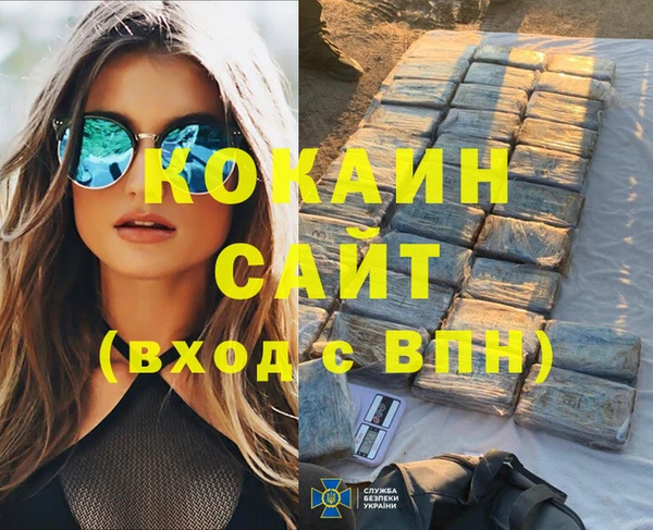 шишки Медногорск