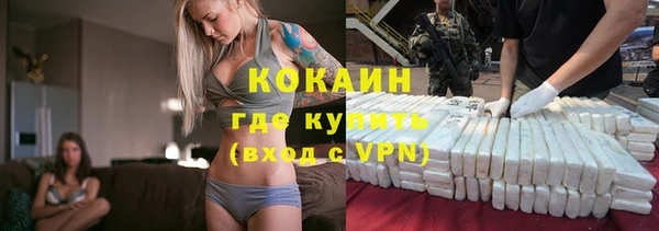 шишки Медногорск