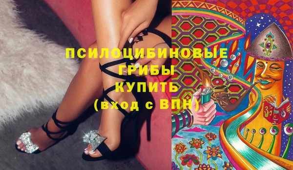 МДМА Медвежьегорск