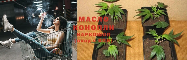 шишки Медногорск