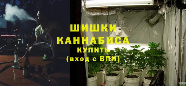 шишки Медногорск