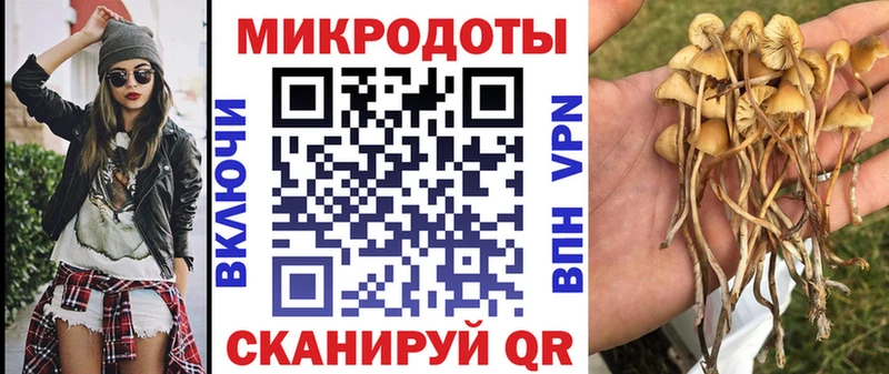 Галлюциногенные грибы мухоморы  где купить наркоту  Вышний Волочёк 